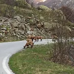La Casa Di Pietro E Maddalena 아파트