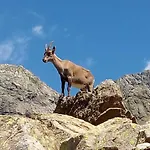 La Casa Di Pietro E Maddalena 아파트 *